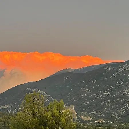 Les Terrasses Du Ventoux